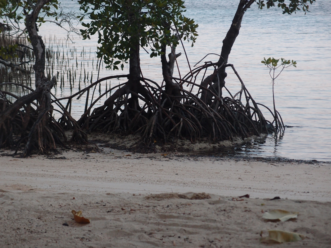 2015-10-03 04 Sand Komposition 2 (Komposition + Foto)